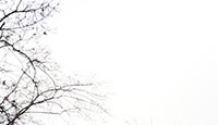 Arbrefeuille2-19