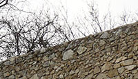 Arbre-32