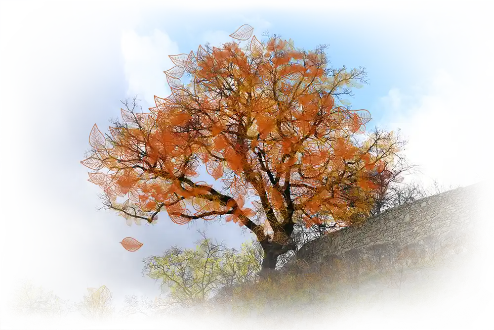 Arbre de løv en automne de l'artiste Méta