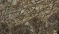 Arbre découp j2
