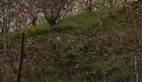 Arbre découp l2