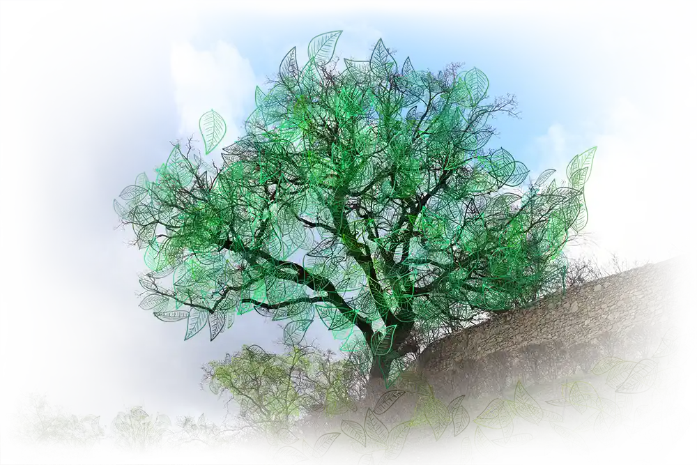 Arbre de løv en été de l'artiste Méta