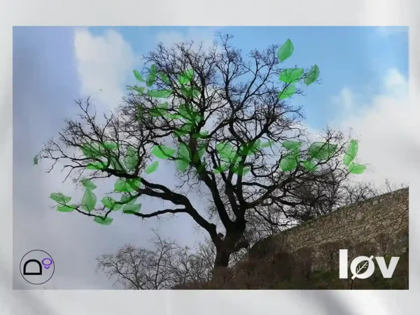 Détails du motif du tee-shirt Lov l'arbre
